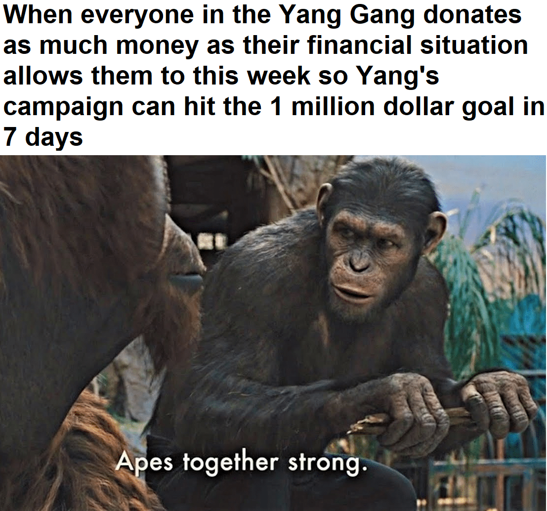 political yang-memes political text: When everyone in the Yang Gang donates as much money as their financial situation allows them to this week so Yang's campaign can hit the 1 million dollar goal in 7 days A es together strong. 