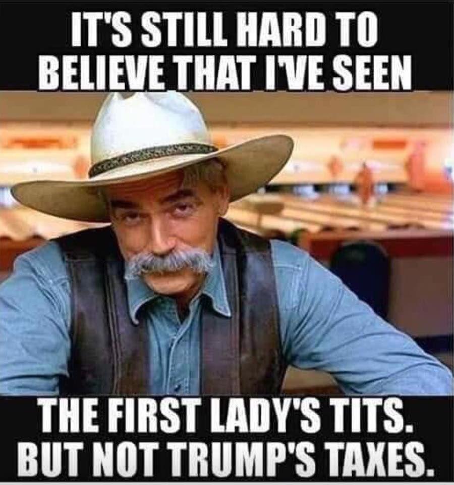 political political-memes political text: IT'S STILL HARD TO BELIEVE THAT SEEN THE FIRST LADY'S TITS. BUT NOT TRUMP'S TAXES. 