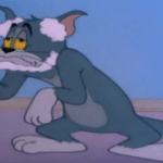 Old and tired Tom Tom and Jerry meme template blank  Tom Cat, Tom and Jerry, Old, Boomer, Tired