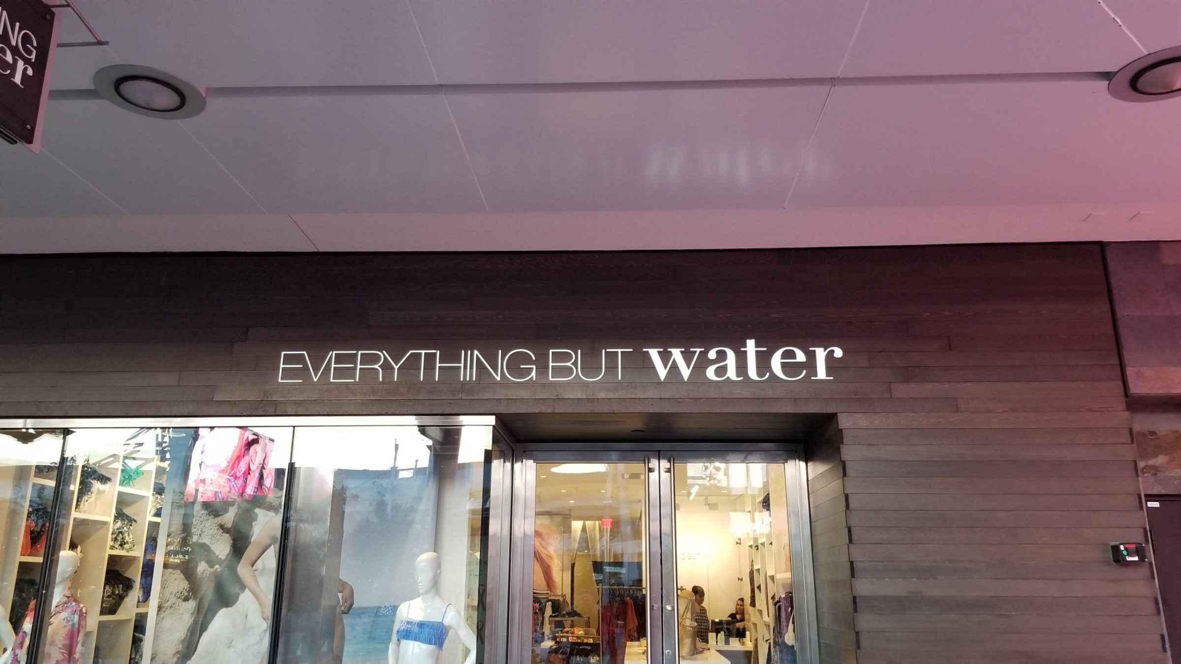 water water-memes water text: EVERYTHING BUT water 