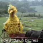 We ride at dawn bitches Sesame Street meme template blank  Big Bird, Sesame Street, Riding, Horse