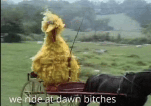 We ride at dawn bitches Sesame Street meme template