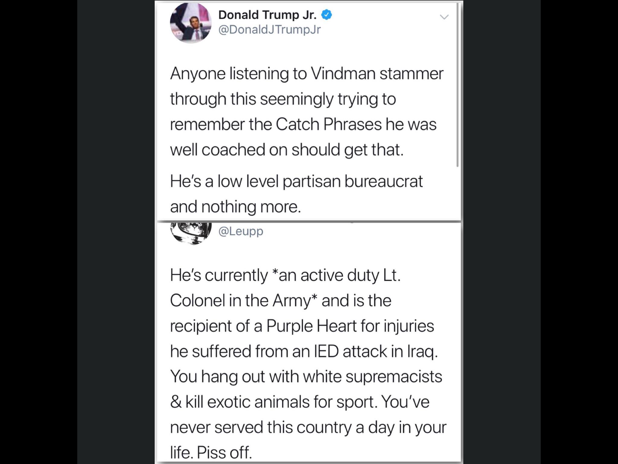 political political-memes political text: Donald Trump Jr. e @DonaldJTrumpJr Anyone listening to Vindman stammer through this seemingly trying to remember the Catch Phrases he was well coached on should get that. He's a low level partisan bureaucrat and nothing more. @Leupp He's currently *an active duty Lt. Colonel in the Army* and is the recipient of a Purple Heart for injuries he suffered from an IED attack in Iraq. You hang out with white supremacists & kill exotic animals for sport. You've never served this country a day in your life. Piss off. 