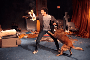 Eric Andre on fire while being bitten by dog vs meme template