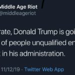 political-memes political text: Middle Age Riot @middleageriot At this rate, Donald Trump is going to run out of people unqualified enough to work in his administration. 1:27 PM • 11/12/19 • Twitter Web App  political