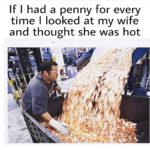 wholesome-memes cute text: If I had a penny for every time I looked at my wife and thought she was hot  cute