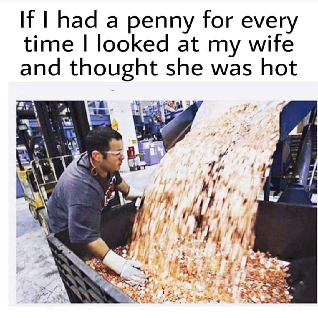 cute wholesome-memes cute text: If I had a penny for every time I looked at my wife and thought she was hot 