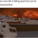 wholesome-memes cute text: When your life is falling apart but you