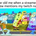 dank-memes cute text: 12 year old me when a streamer with 1 view mentions my twitch name oof  Dank Meme
