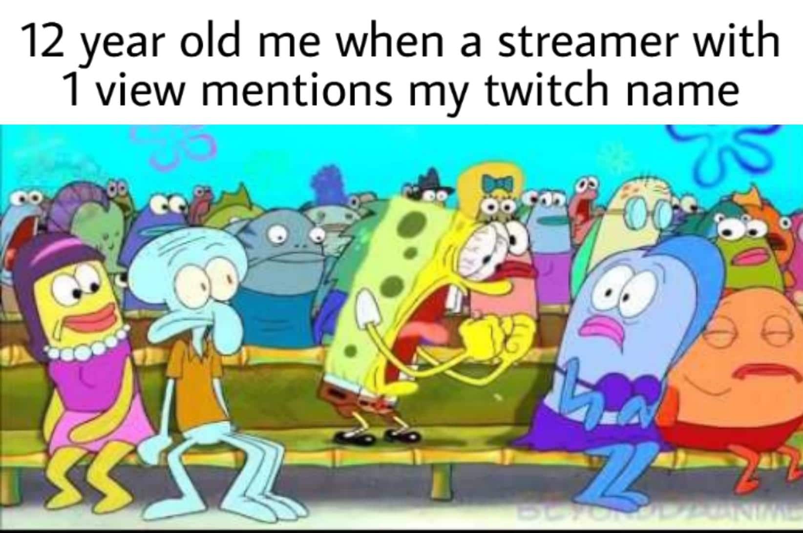 Dank Meme dank-memes cute text: 12 year old me when a streamer with 1 view mentions my twitch name oof 