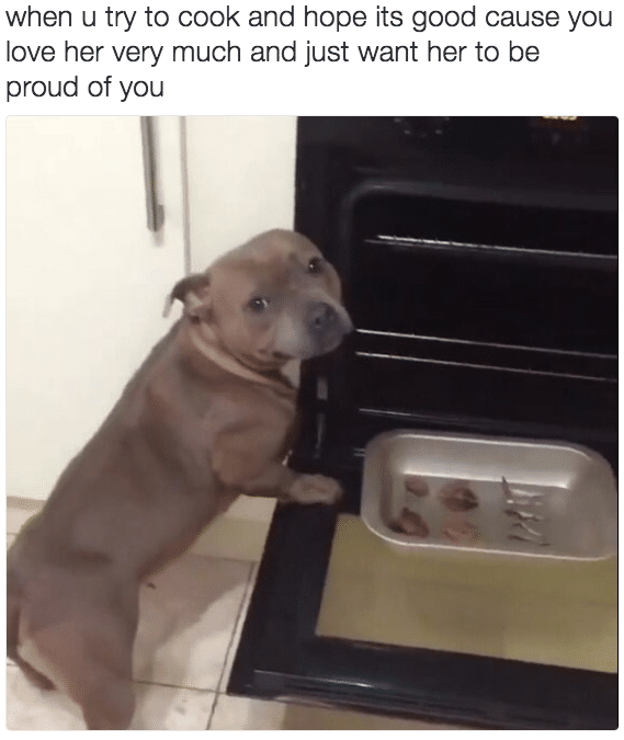 cute wholesome-memes cute text: when u try to cook and hope its good cause you love her very much and just want her to be proud of you 