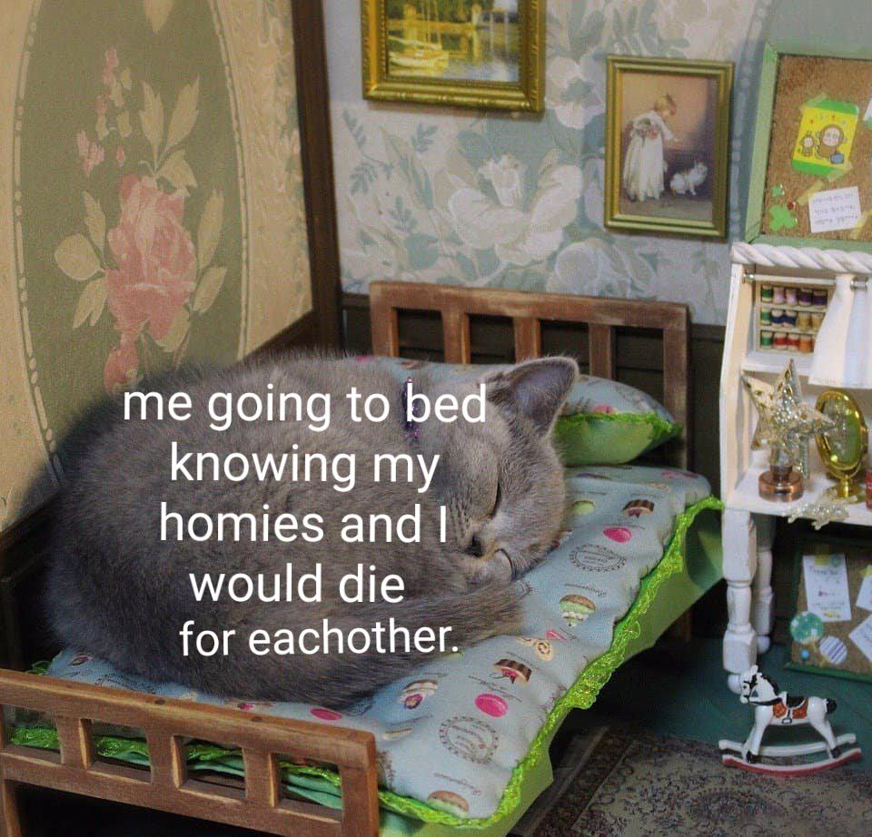 cute wholesome-memes cute text: me going to be knowing my homies and I p would die for eachother. 