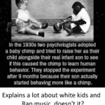 boomer-memes political text: In the 1930s two psychologists adopted a baby chimp and tried to raise her as their child alongside their real infant son to see if this caused the chimp to learn human behavior. They stopped the experiment after 9 months because their son actually started behaving more like a chimp. Explains a lot about white kids and Rap music, doesn