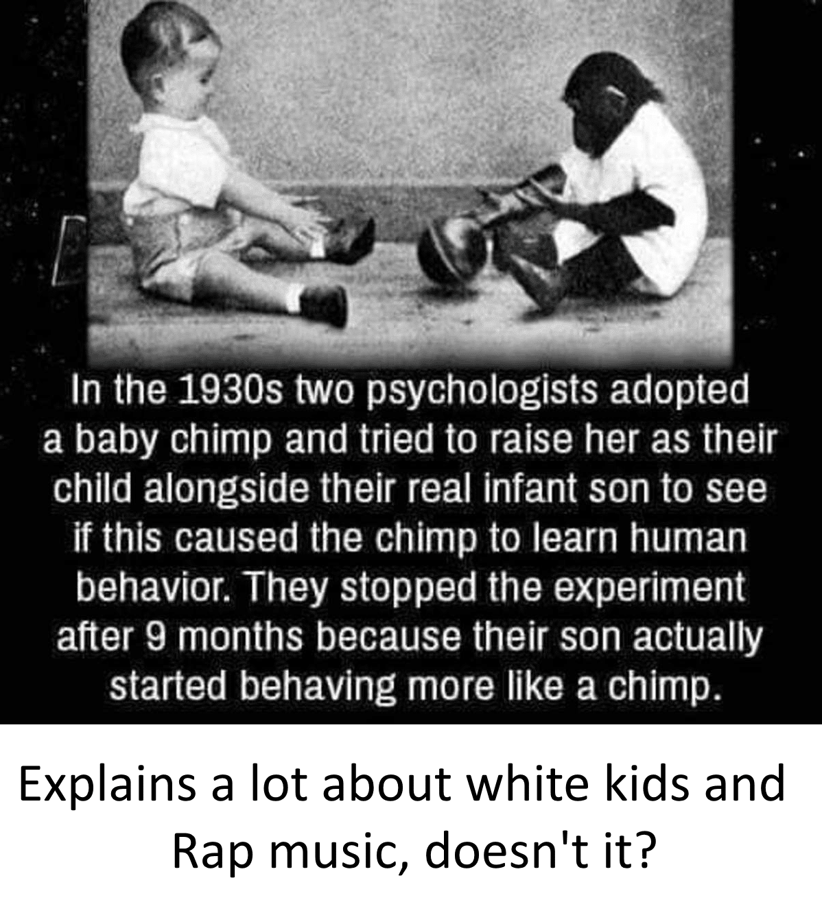 political boomer-memes political text: In the 1930s two psychologists adopted a baby chimp and tried to raise her as their child alongside their real infant son to see if this caused the chimp to learn human behavior. They stopped the experiment after 9 months because their son actually started behaving more like a chimp. Explains a lot about white kids and Rap music, doesn't it? 