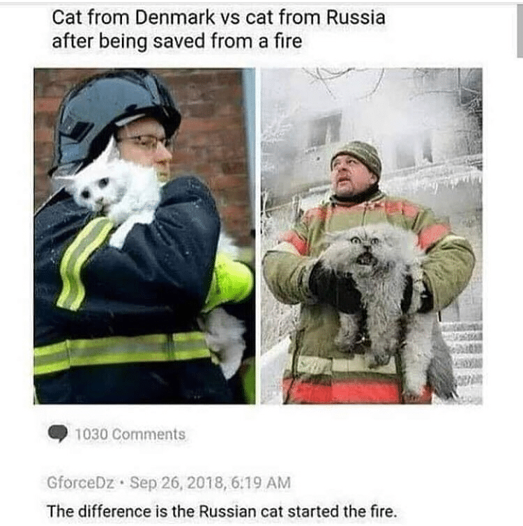 dank other-memes dank text: Cat from Denmark vs cat from Russia after being saved from a fire 1030 Comments GforceDz • sep 26.2018, 6:19 AM The difference is the Russian cat started the fire. 