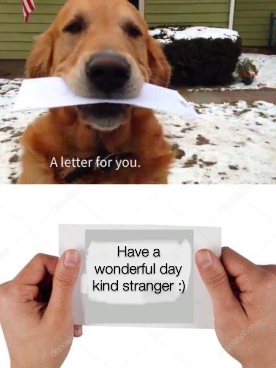 cute wholesome-memes cute text: A letter f