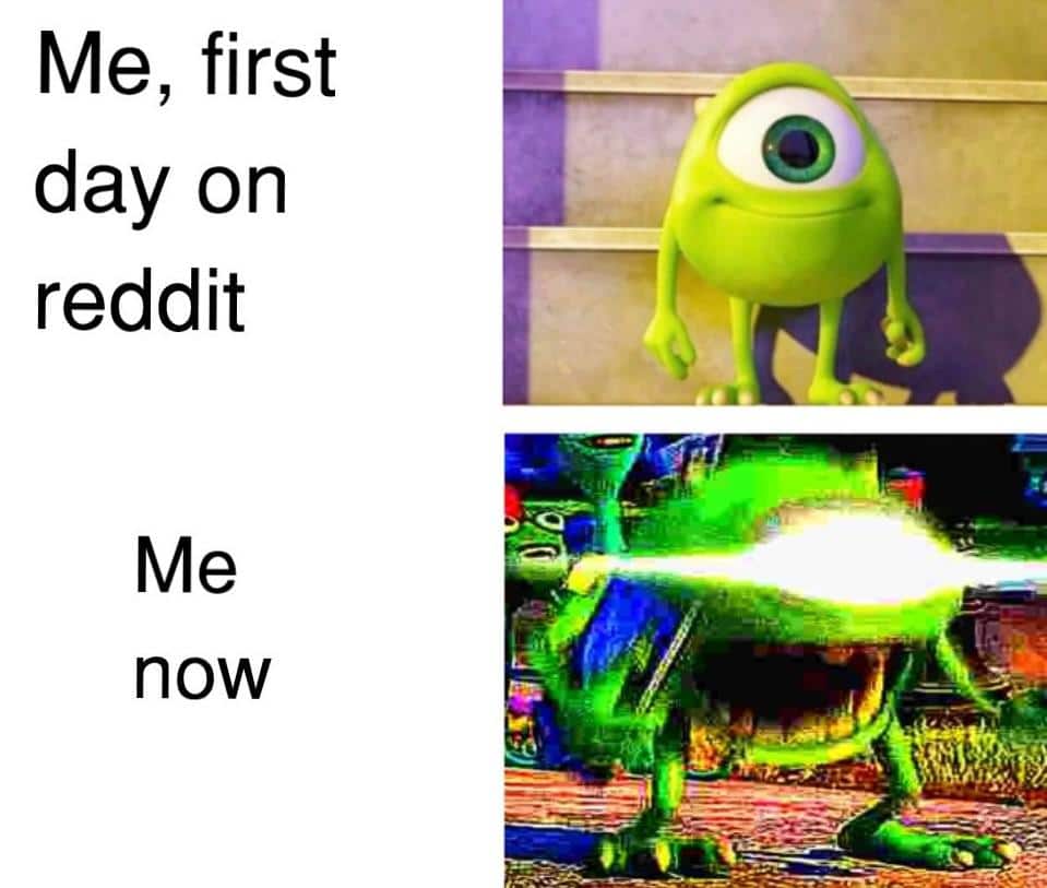 Dank Meme dank-memes cute text: Me, first day on reddit Me now 