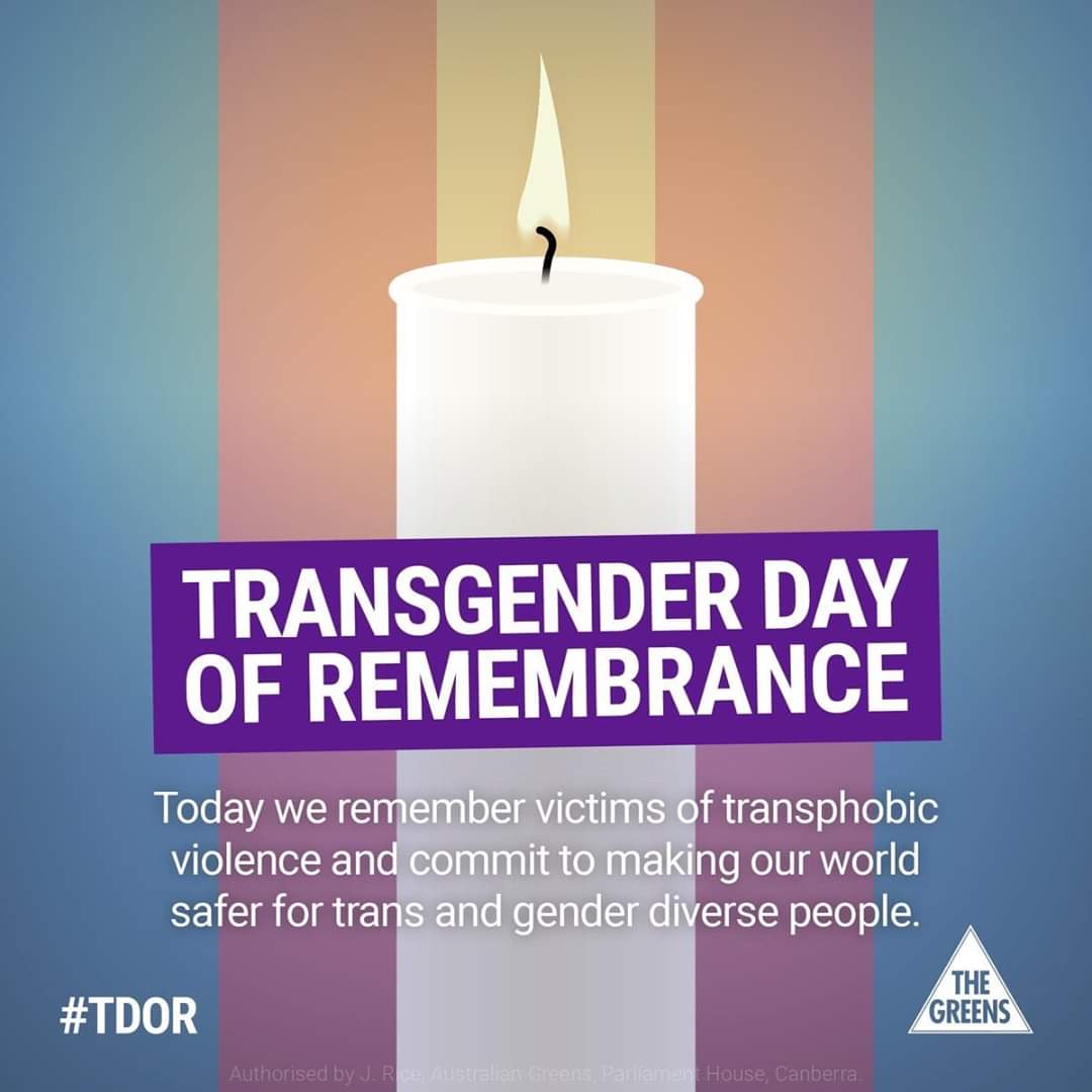 women feminine-memes women text: TRANSGENDER DAY OF REMEMBRANCE Today were ember victims f transphobic violence an commit to mak ng our world safer for tra s and gender di erse people. #TDOR THE GREENS 