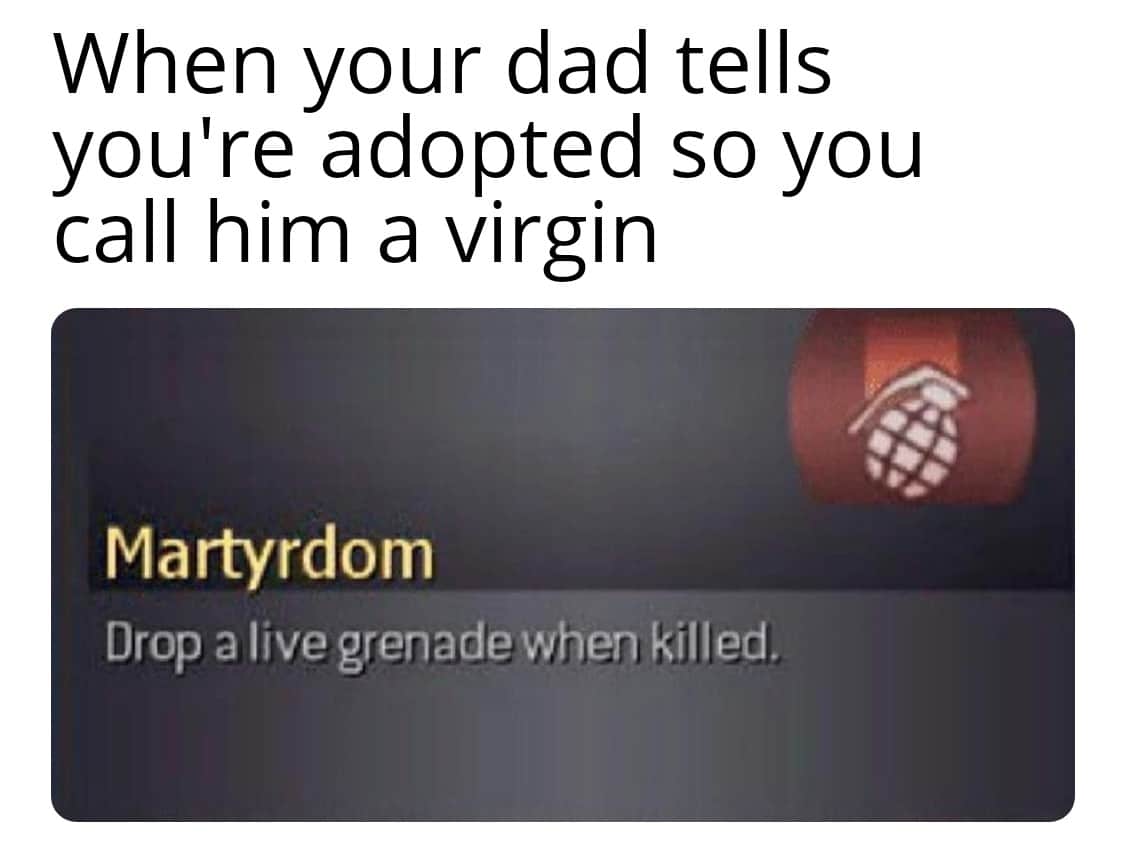 Dank Meme dank-memes cute text: When your dad tells you're adopted so you call him a virgin Martyrdom Drop a live grenade when killed. 