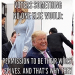 political-memes political text: SOMETHING PERMISSION TO BE THEIR 