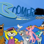 Ok Boomerang Cartoon Network meme template blank  Boomerang, Cartoon Network, Ok Boomer
