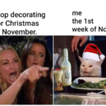christian-memes christian text: stop decorating for Christmas in November. me the 1st week of Nov.  christian