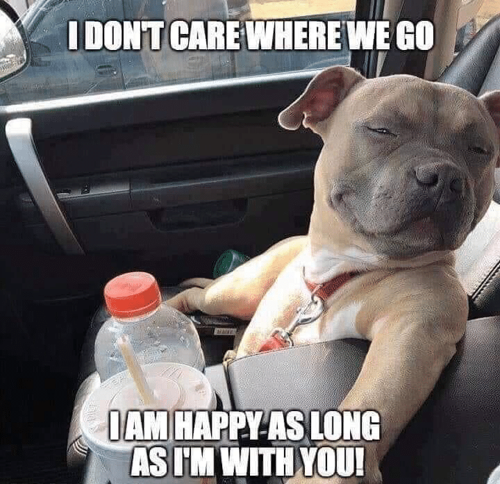 cute wholesome-memes cute text: I DON'T CAREWHERE WE GO LONG 