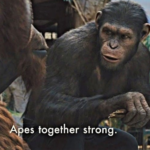 Apes together strong None meme template blank
