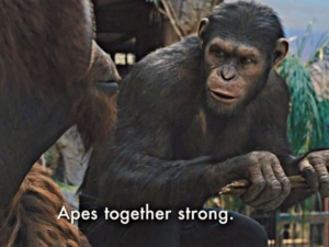 Apes together strong Movie meme template