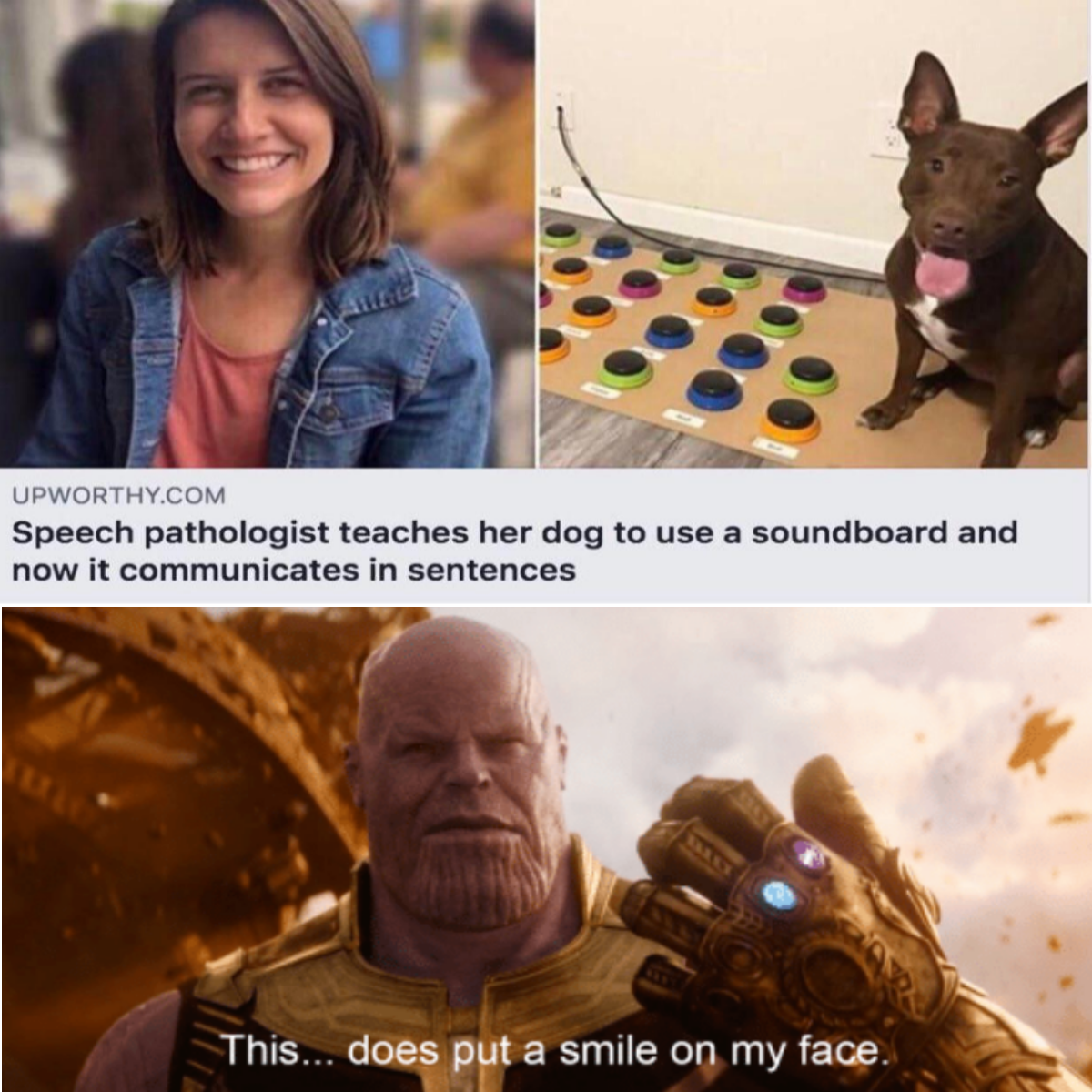 cute wholesome-memes cute text: UPWORTHY.COM Speech pathologist teaches her dog to use a soundboard and now it communicates in sentences hhis.. does put a smile 00 my face. 