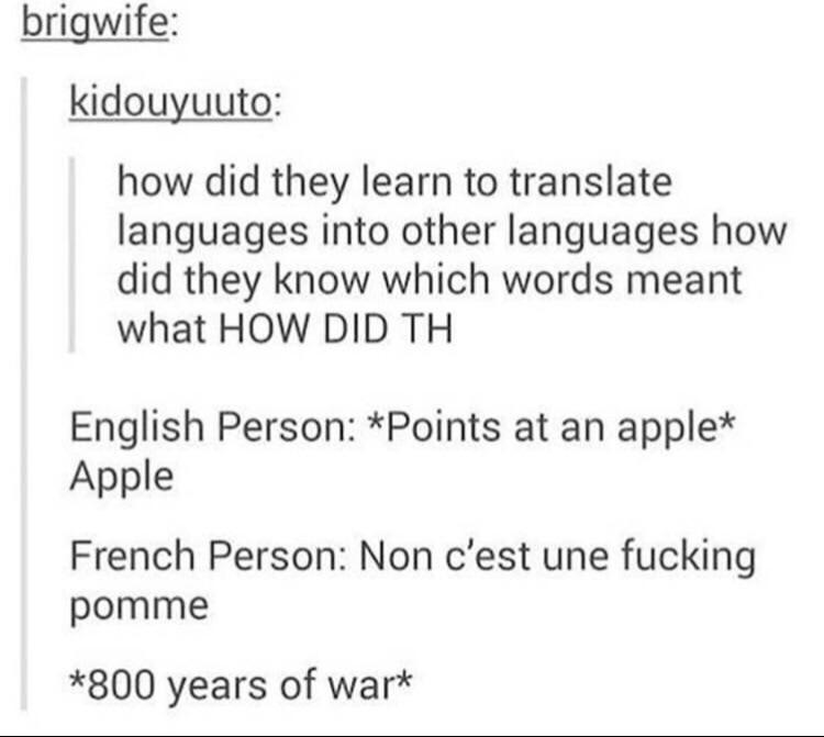 history history-memes history text: brigwife: kidouyuuto: how did they learn to translate languages into other languages how did they know which words meant what HOW DID TH English Person: *Points at an apple* Apple French Person: Non c'est une fucking pomme *800 years of war* 