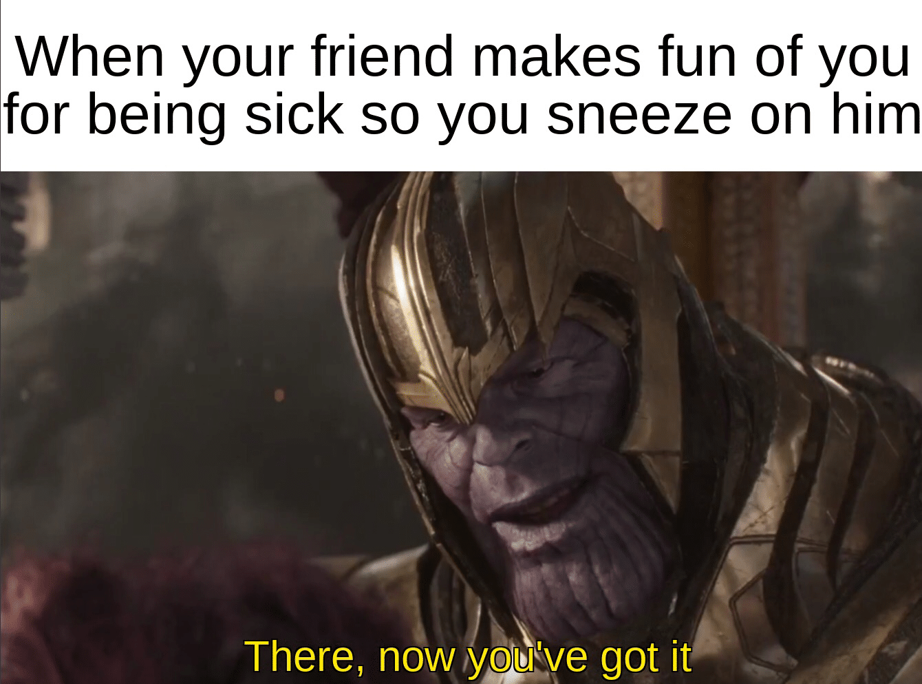 thanos avengers-memes thanos text: When your friend makes fun of you for being sick so you sneeze on him There, now yotve got it 