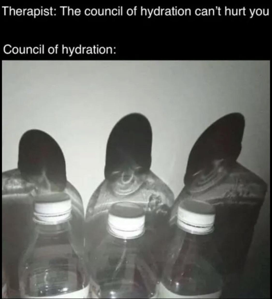 water water-memes water text: Therapist: The council of hydration can't hurt you Council of hydration: 