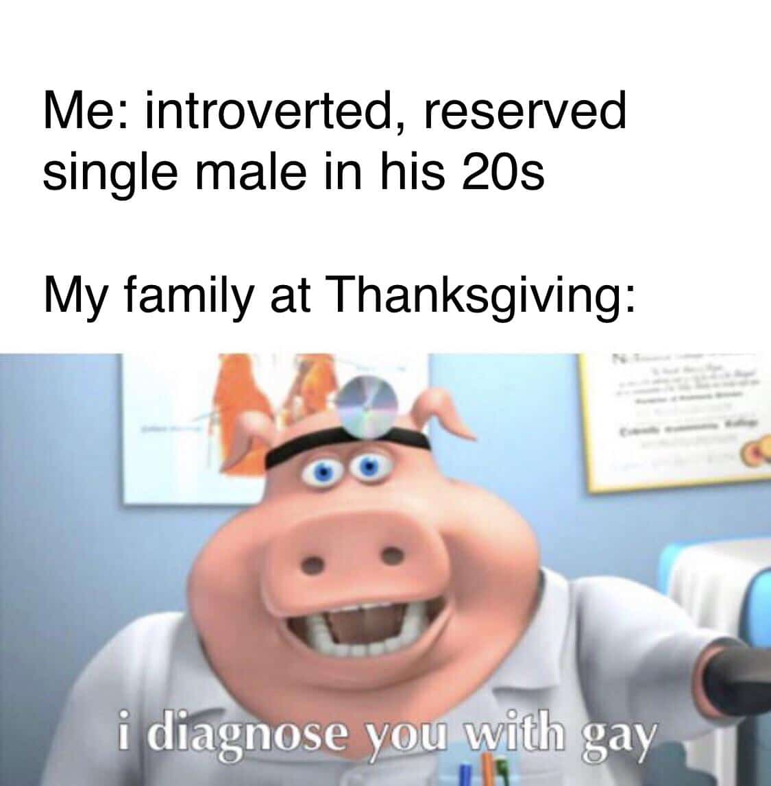 Dank Meme dank-memes cute text: Me: introverted, reserved single male in his 20s My family at Thanksgiving: 'i diagnose you with gay -qt 