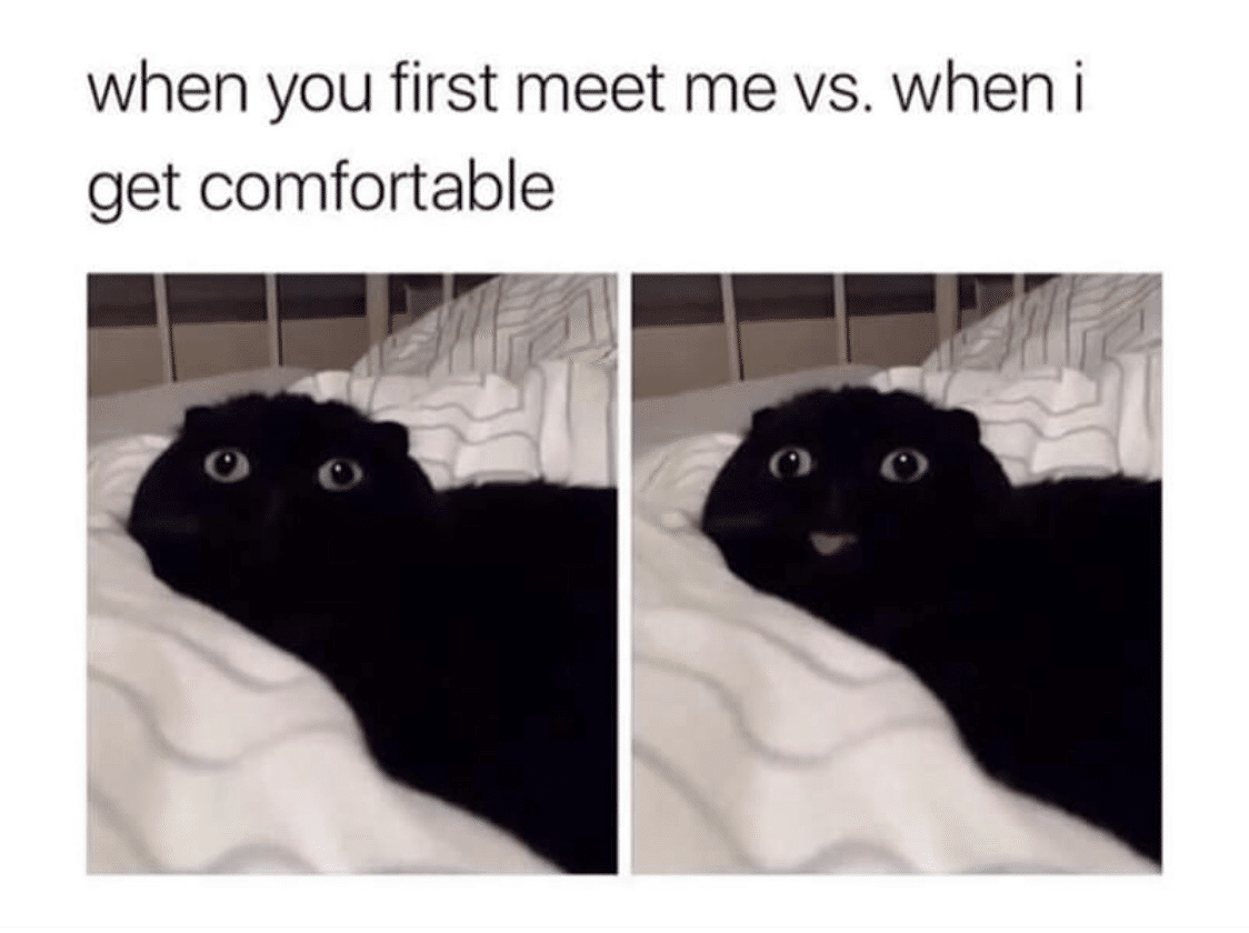 cute wholesome-memes cute text: when you first meet me vs. when i get comfortable 