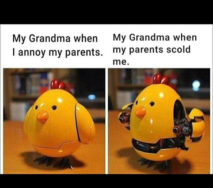 cute wholesome-memes cute text: My Grandma when My Grandma when I annoy my parents. my parents scold me. 