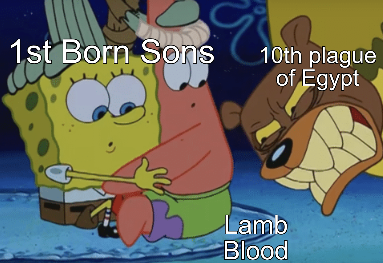 christian christian-memes christian text: 1 stBorn Sods 10th plague of Egypt Lamb -'Blood 