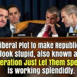 political-memes political text: JORDAN The Liberal Plot to make Republicans look stupid, also known as "0Deration JUSt Let Them Speak", is working splendidly. Wannapik.com  political