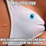 offensive-memes nsfw text: THIS.LITTLE FISH WILL EAT YOUR BANK ACCOUNT IF NOT CAREFUL  nsfw