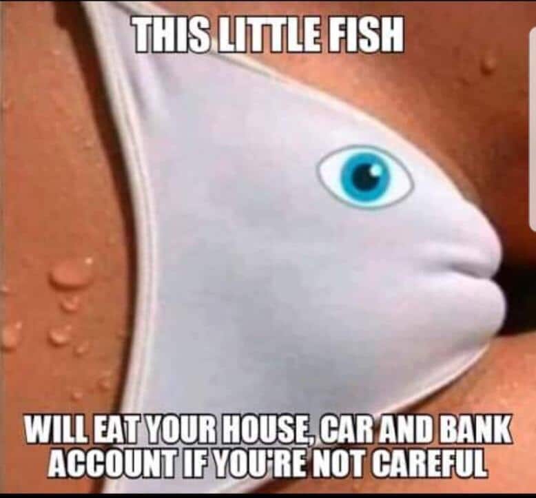 nsfw offensive-memes nsfw text: THIS.LITTLE FISH WILL EAT YOUR BANK ACCOUNT IF NOT CAREFUL 