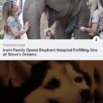 wholesome-memes cute text: THEDAD.COM Irwin Family Opens Elephant Hospital Fulfilling One of Steve