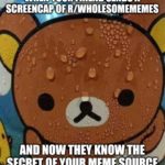 wholesome-memes cute text: WHENXOUR iRiEND SENDS A SCREENCAP OF R/WHOLESOMEMEMES AND NOW THEY KNOW THE SECRET OF YOUR MEME SOURCE i mgfip.ccM1  cute