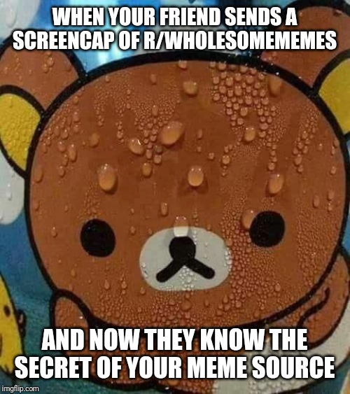 cute wholesome-memes cute text: WHENXOUR iRiEND SENDS A SCREENCAP OF R/WHOLESOMEMEMES AND NOW THEY KNOW THE SECRET OF YOUR MEME SOURCE i mgfip.ccM1 