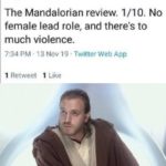 star-wars-memes younglings text: Portimations @Portimations The Mandalorian review. 1/10. No female lead role, and there