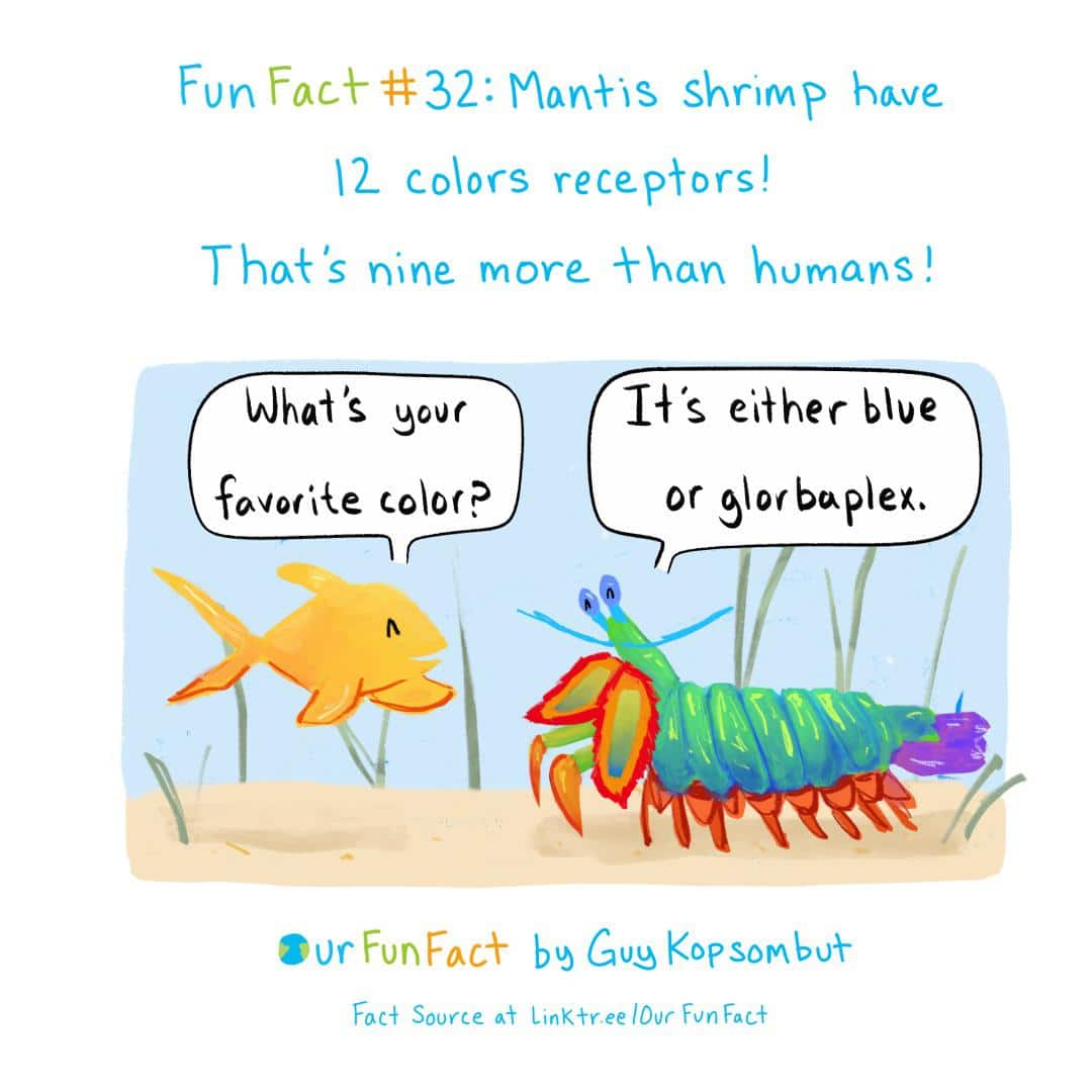 comics comics comics text: Fun Facå- #32: Manhs shrimp IL colors recep\ors! That's nine more humans! bJhaå's your color? Iå's elihec blue Of bloc bupiek. Facå Source aå Link+r.ee lour Fun Facå 