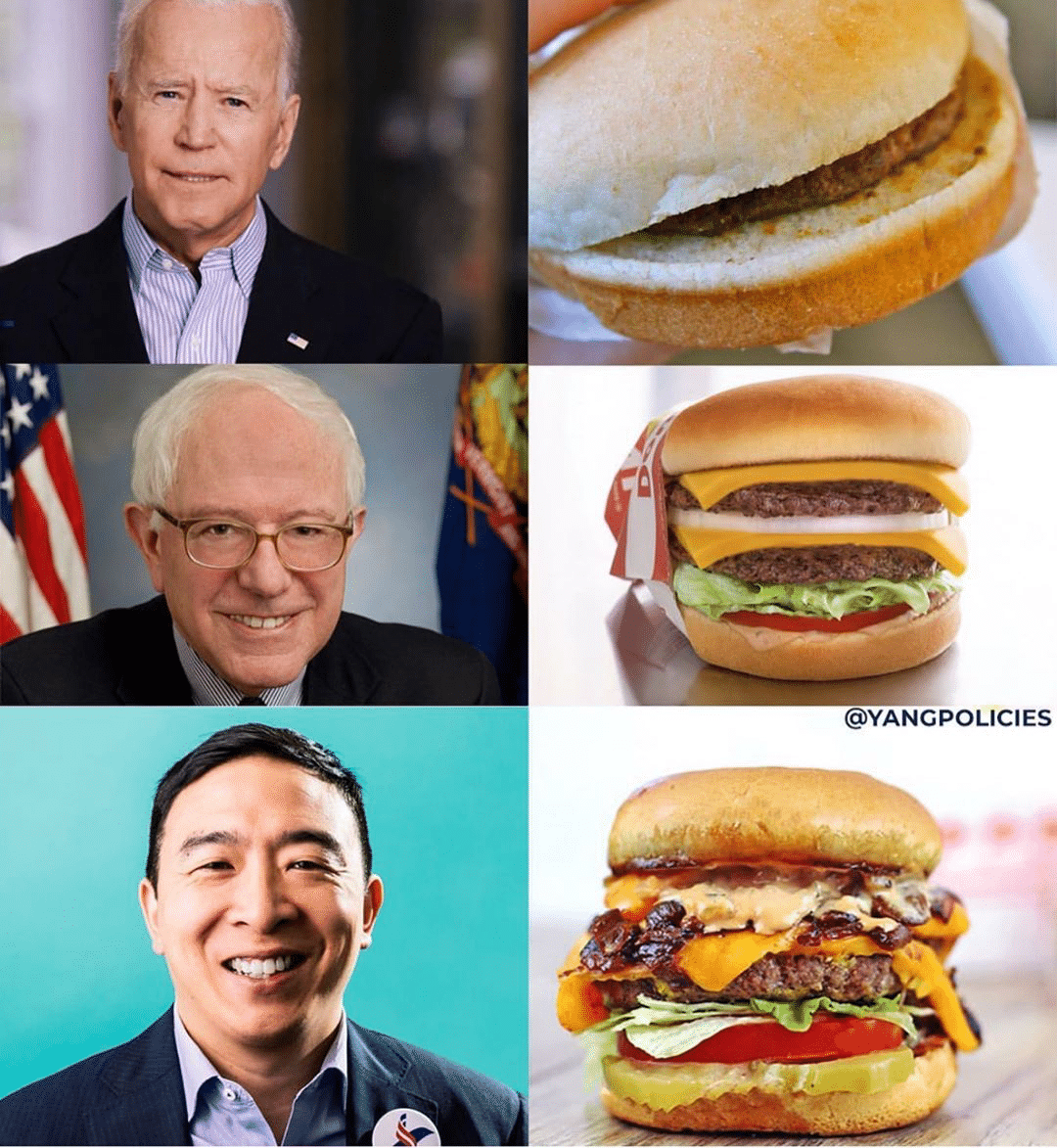 political yang-memes political text: @YANCPOLICIES 