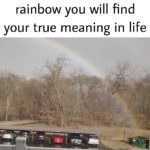 dank-memes cute text: My mom: at the end of a rainbow you will find your true meaning in life  Dank Meme