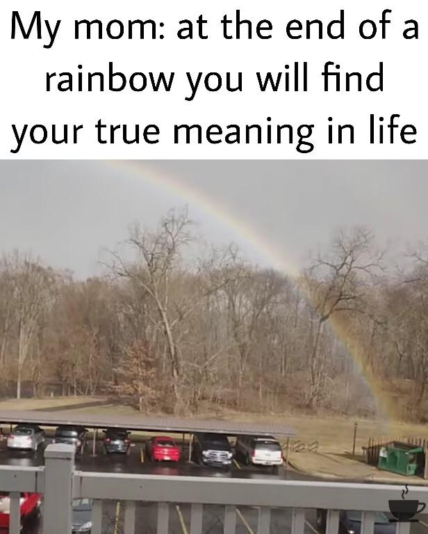 Dank Meme dank-memes cute text: My mom: at the end of a rainbow you will find your true meaning in life 