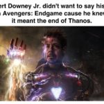 avengers-memes thanos text: Robert Downey Jr. didn