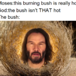 christian-memes christian text: Moses:this burning bush is really hot God:the bush isn